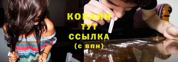 шишки Балабаново