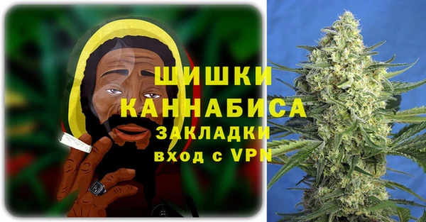 шишки Балабаново